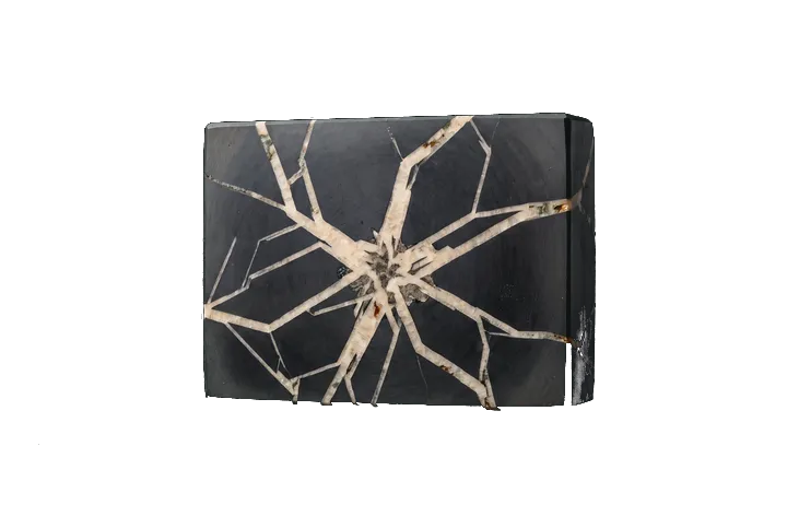 A branching crystalline structure embedded in a graphite cross-section.